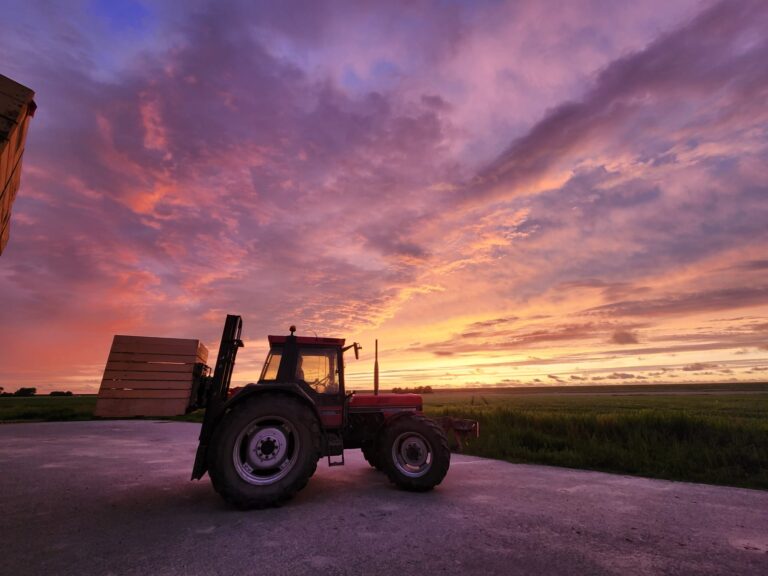 Vestinssteun jonge landbouwer 2025