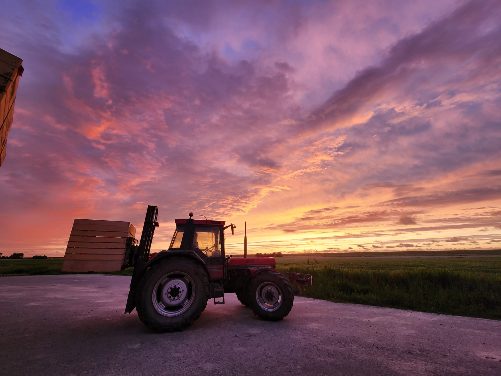 Vestinssteun jonge landbouwer 2025